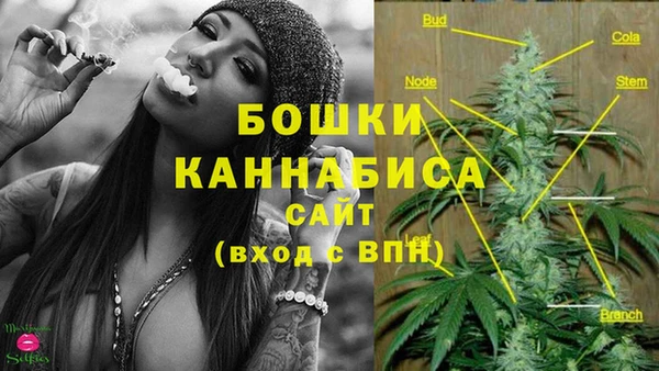 мяу мяу кристалл Няндома