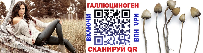 где купить наркоту  Смоленск  Галлюциногенные грибы Psilocybine cubensis 