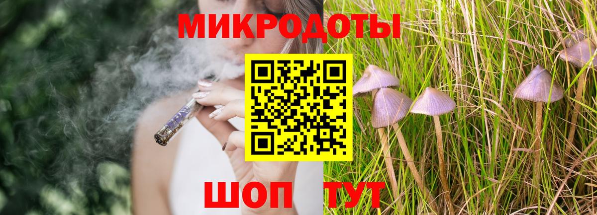 Псилоцибиновые грибы Cubensis Смоленск
