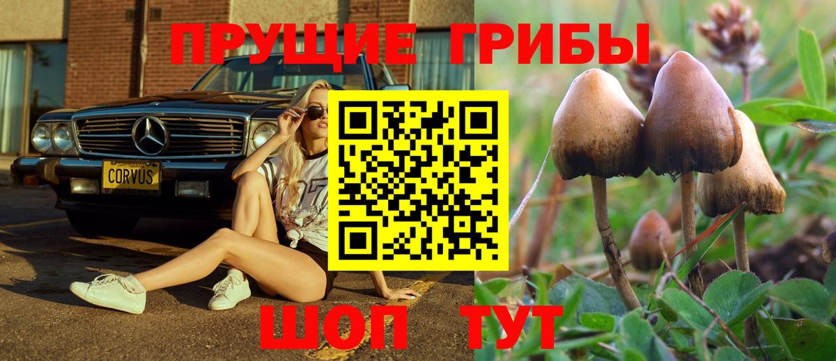Галлюциногенные грибы MAGIC MUSHROOMS  Псилоцибиновые грибы MAGIC MUSHROOMS  Вход с VPN  Смоленск 